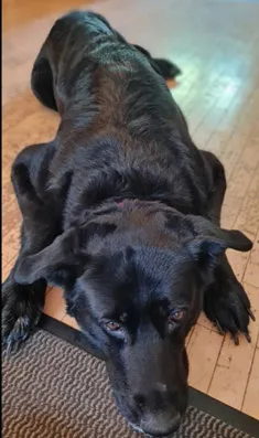 Luna liebt Schüssler-Salze